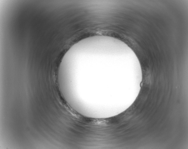X0000068900569200605051144