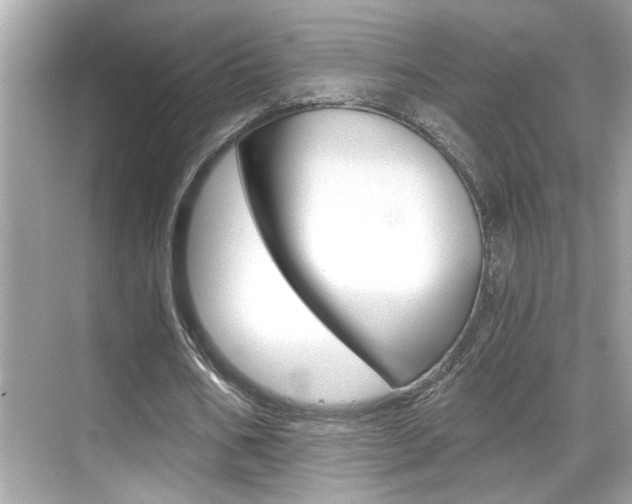 X0000068900578200605051143