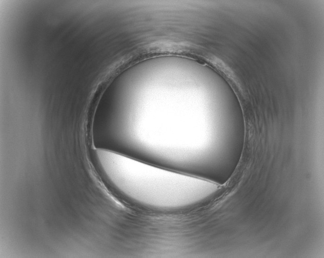 X0000068900581200605051143