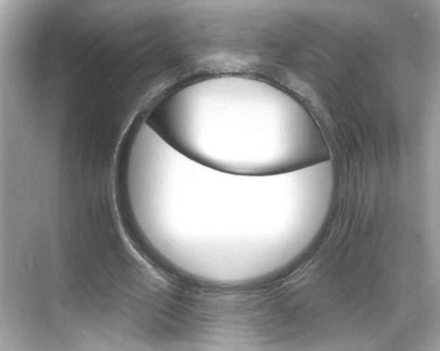 X0000068900582200605051143