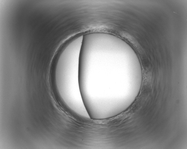 X0000068900583200605051143