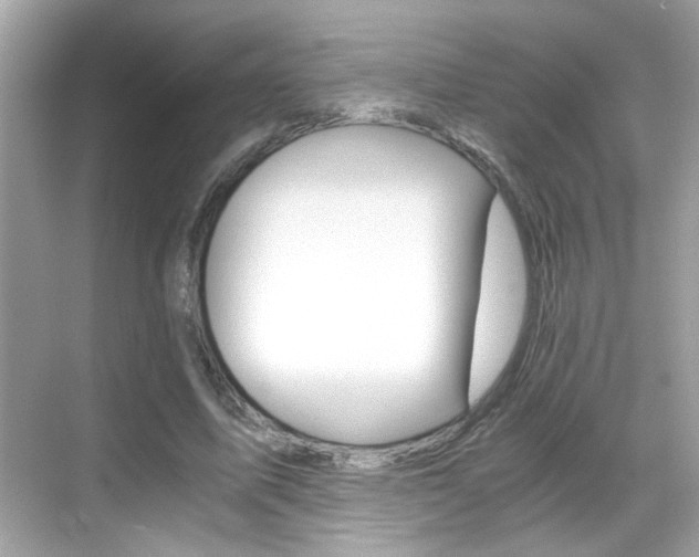 X0000068900587200605051143