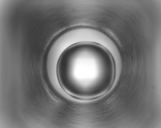 X0000068900588200605051143