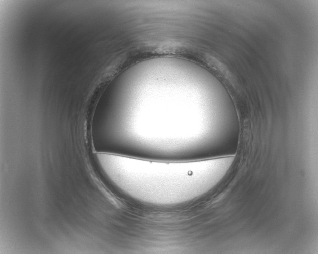 X0000068900589200605051143