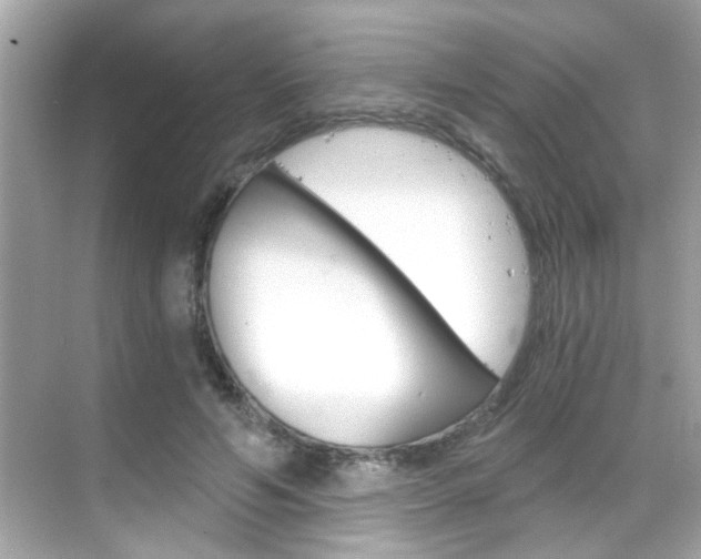X0000068900594200605051143