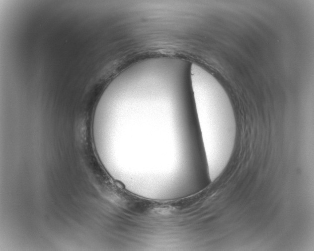 X0000068900595200605051143
