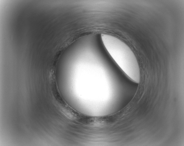 X0000068900601200605051143