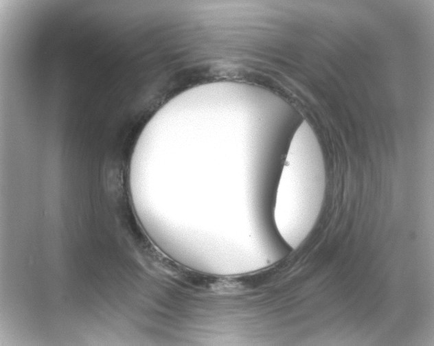 X0000068900603200605051143