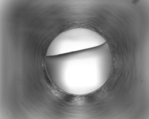 X0000068900606200605051143
