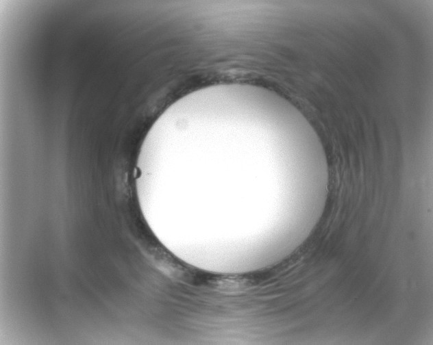 X0000068900615200605051142