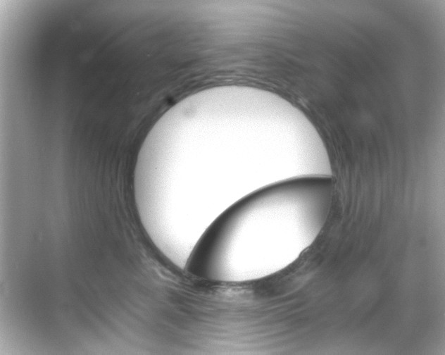 X0000068900619200605051142