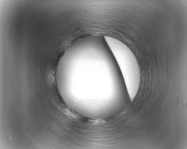 X0000068900621200605051142