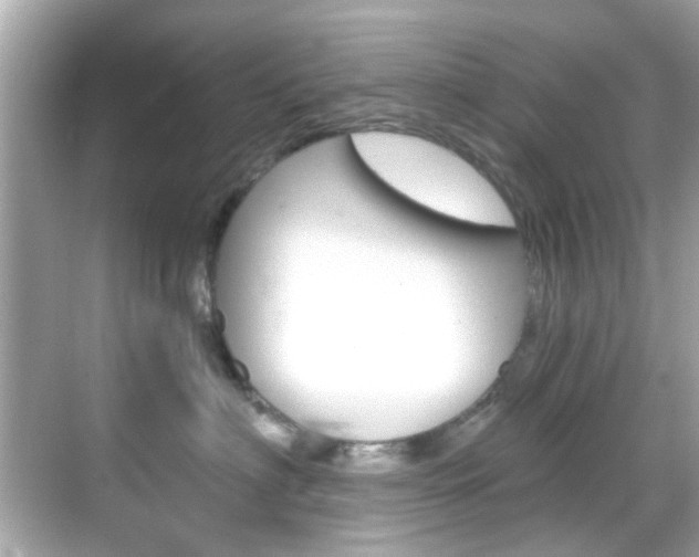 X0000068900622200605051142