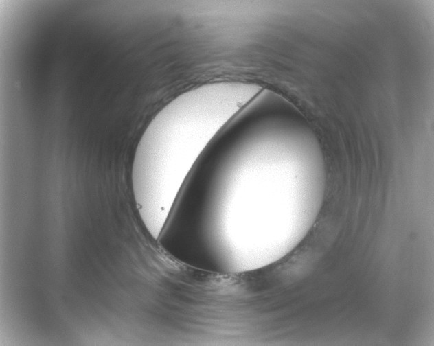 X0000068900624200605051142