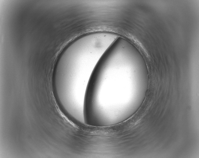 X0000068900625200605051142