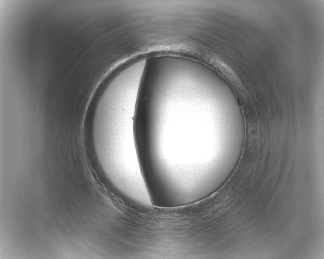 X0000068900628200605051142