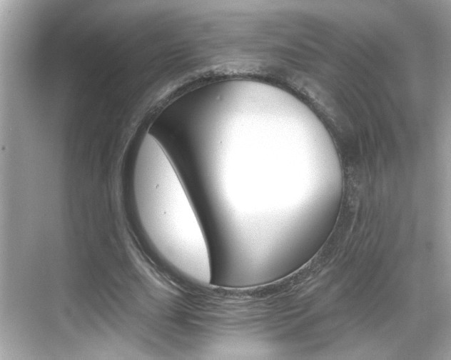 X0000068900631200605051142