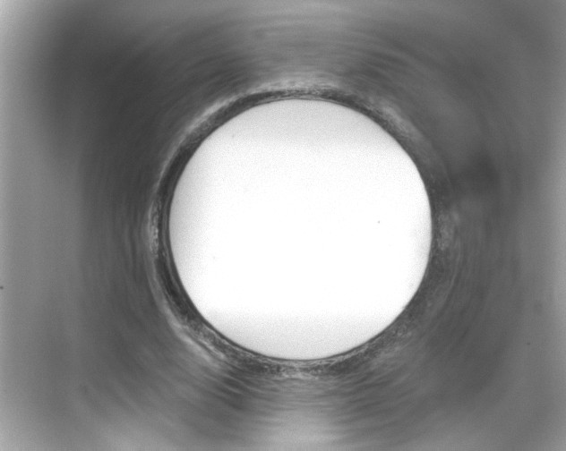 X0000068900632200605051142