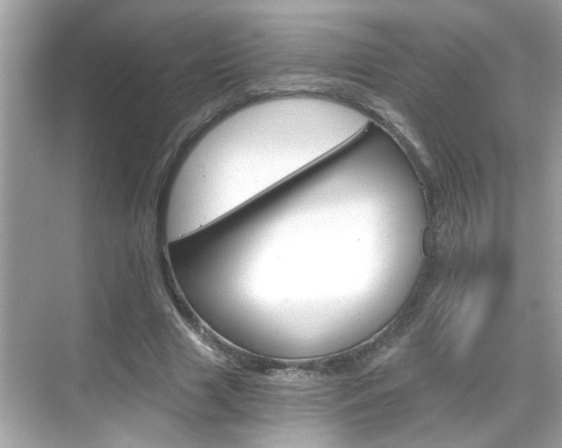 X0000068900633200605051142
