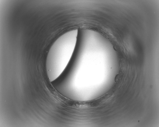 X0000068900645200605051142