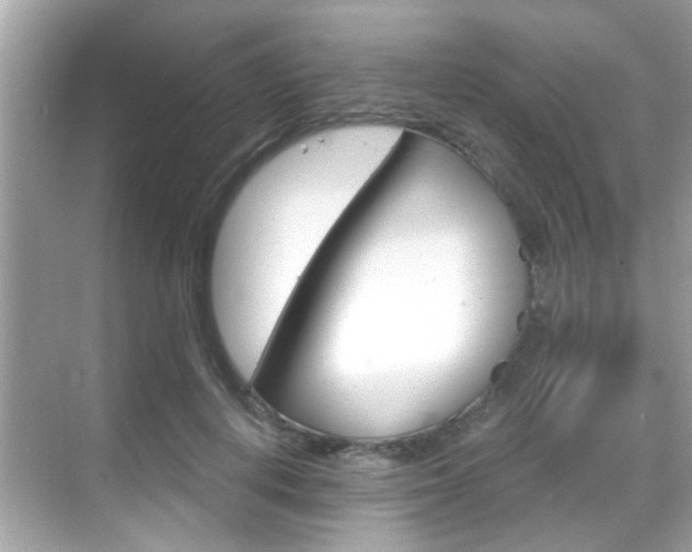 X0000068900648200605051142
