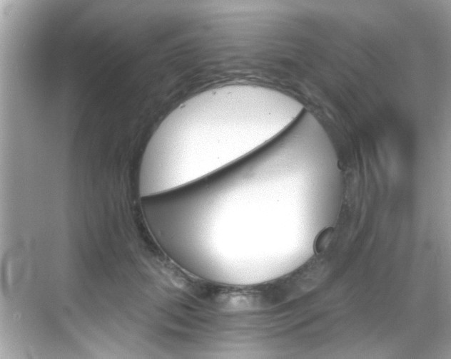 X0000068900655200605051142