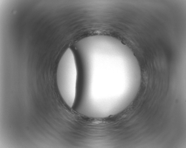 X0000068900657200605051142