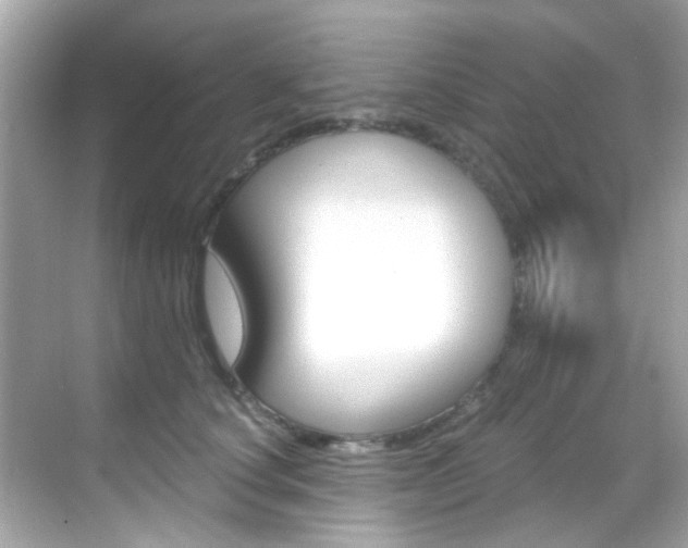 X0000068900660200605051142