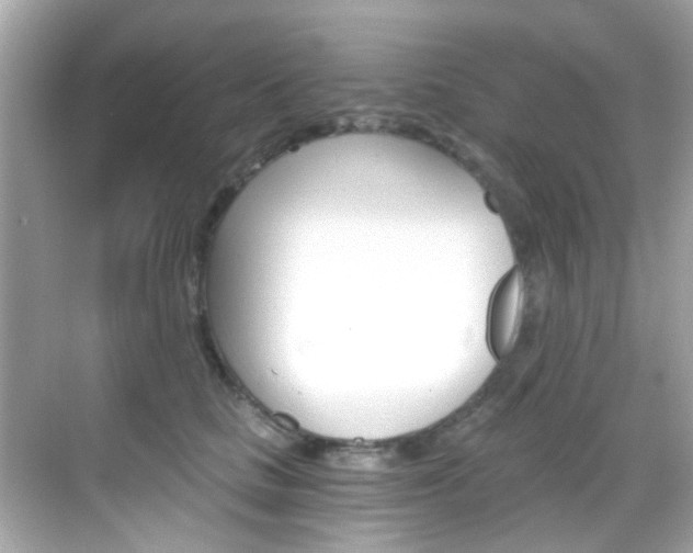 X0000068900661200605051142