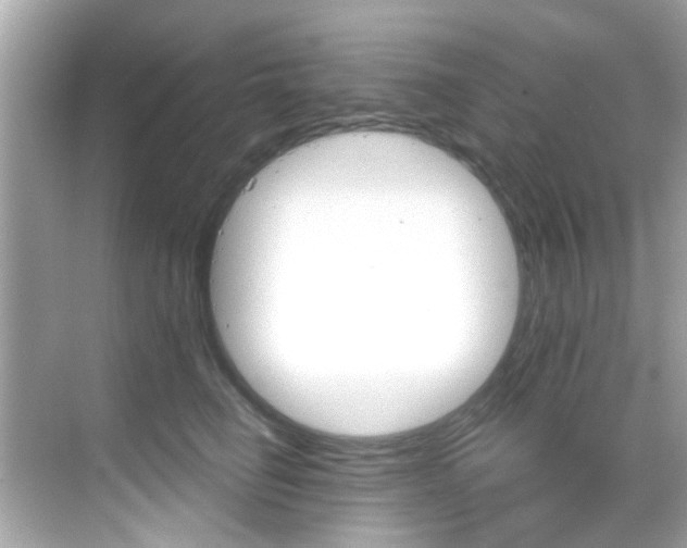 X0000068900662200605051142