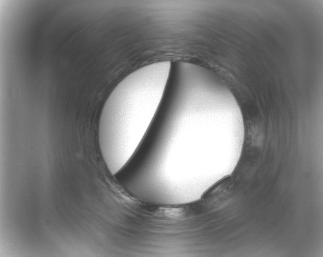 X0000068900665200605051142