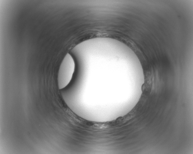 X0000068900667200605051142
