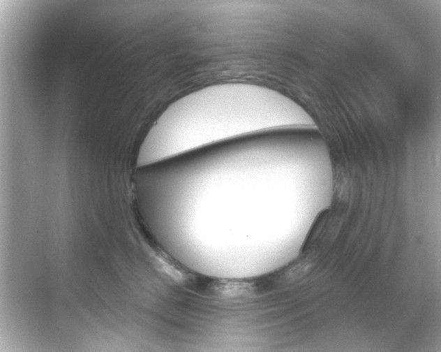 X0000068900670200605051142