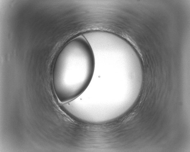 X0000068900673200605051142