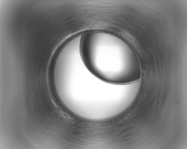 X0000068900676200605051141
