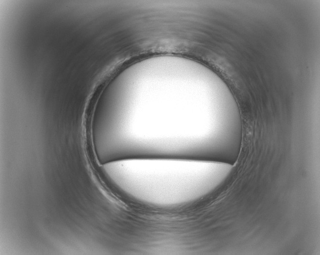 X0000068900678200605051141