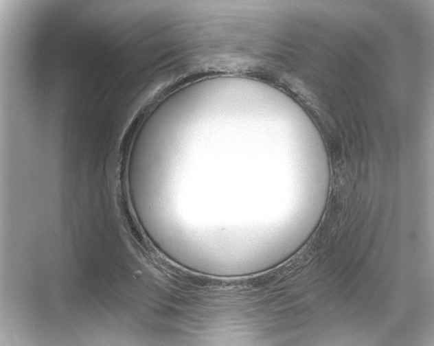X0000068900679200605051141