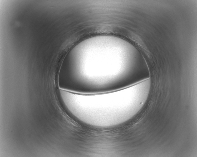 X0000068900681200605051141
