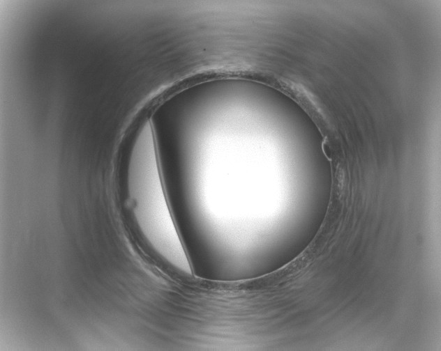 X0000068900684200605051141