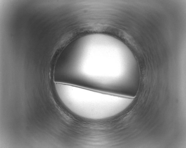 X0000068900685200605051141