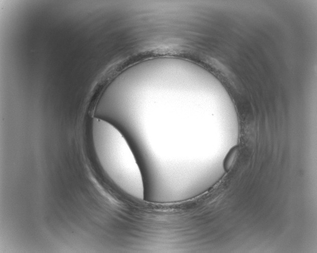 X0000068900686200605051141