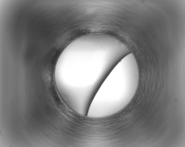 X0000068900691200605051141