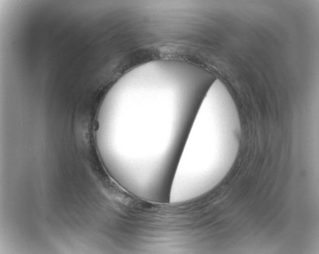 X0000068900698200605051141