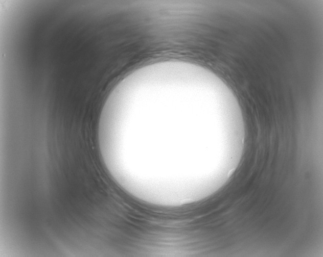 X0000068900705200605051141