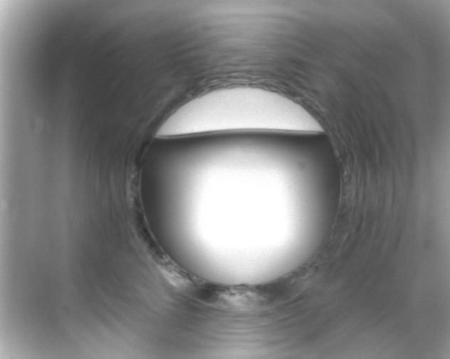 X0000068900712200605051141