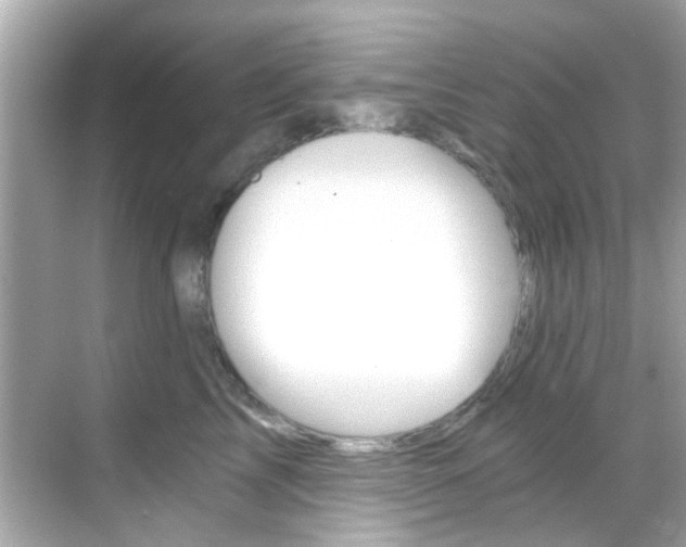 X0000068900713200605051141