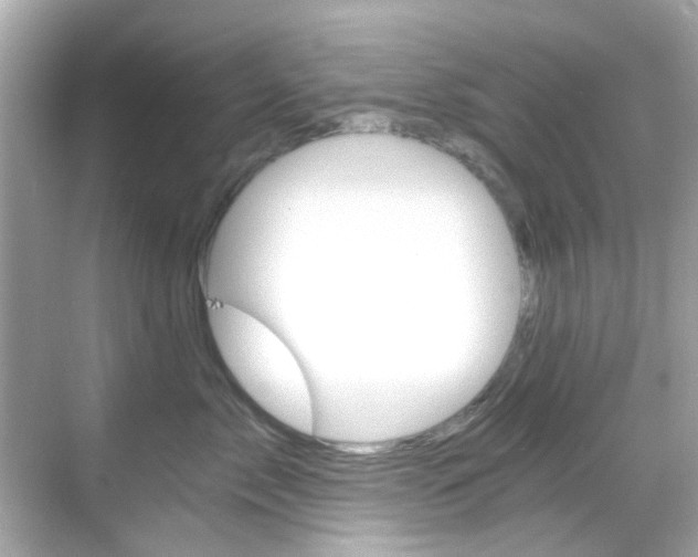 X0000068900717200605051141