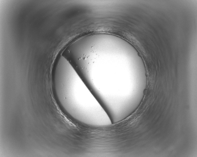 X0000068900721200605051140