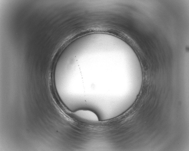 X0000068900725200605051140