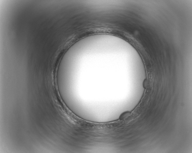 X0000068900729200605051140